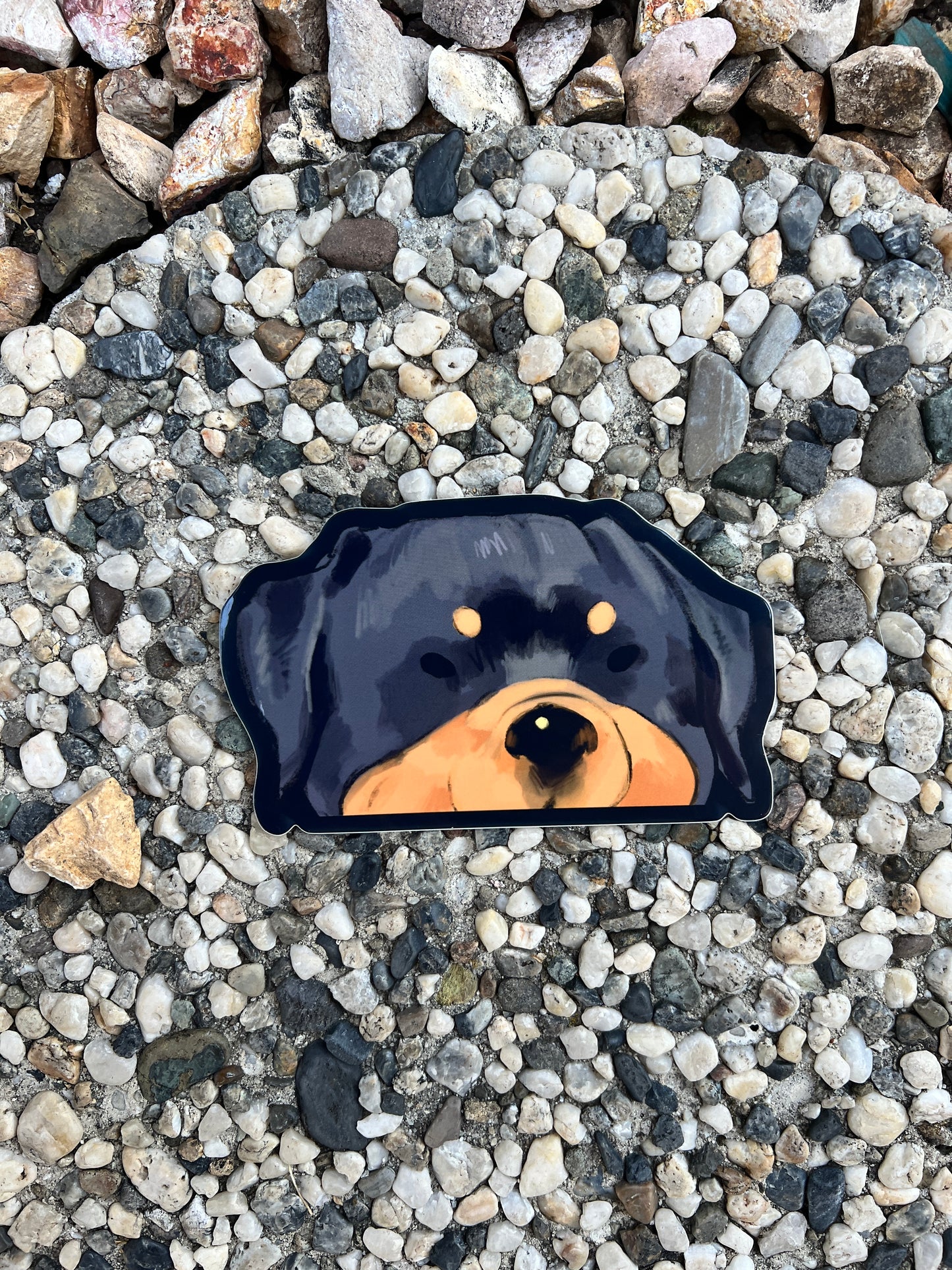 Rottweiler Doggo Peeker