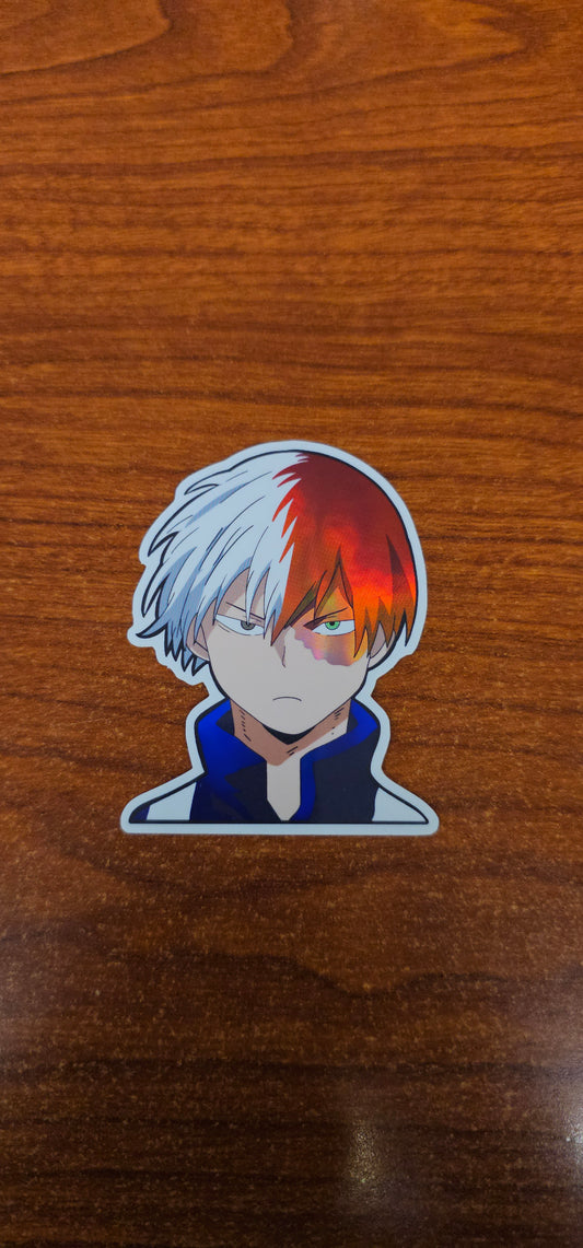 Todoroki Holo