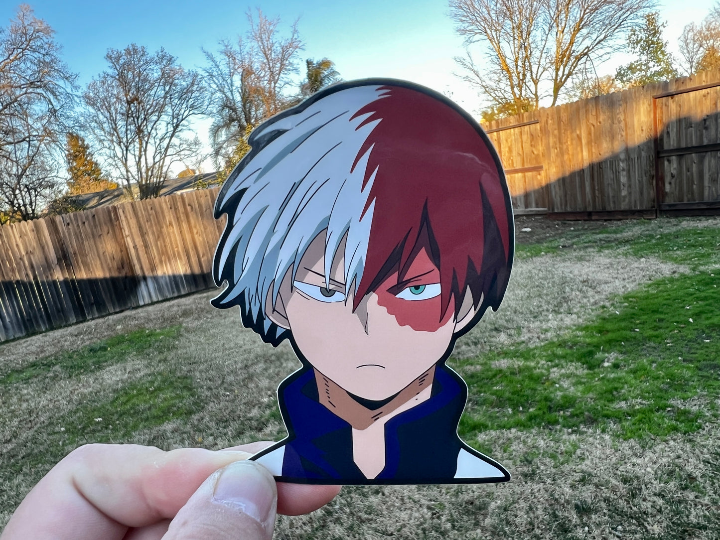 Todoroki